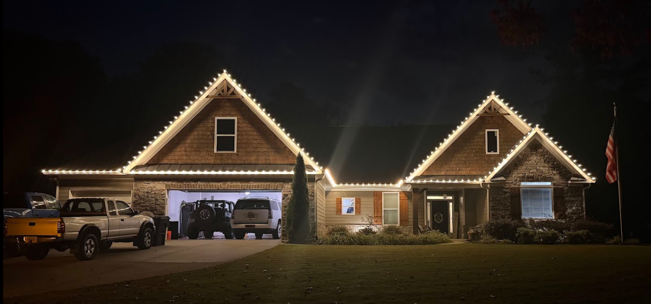 Tree & Bush Lighting